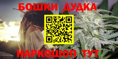 прущие грибы Малгобек